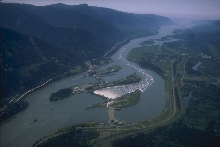 Bonneville Dam 3