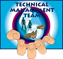 [Technical Management Team Logo]